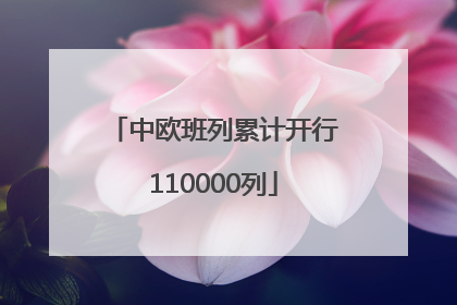 中欧班列累计开行110000列