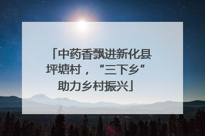 中药香飘进新化县坪塘村，“三下乡”助力乡村振兴