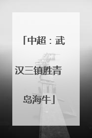 中超：武汉三镇胜青岛海牛