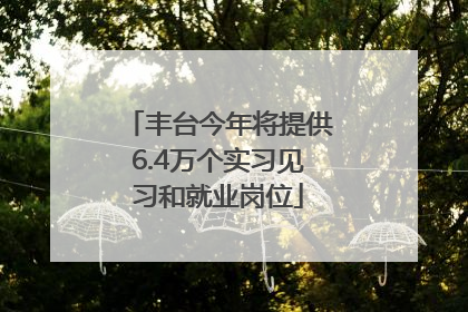 丰台今年将提供6.4万个实习见习和就业岗位