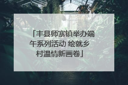 丰县师寨镇举办端午系列活动 绘就乡村温情新画卷