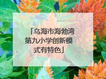 乌海市海勃湾第九小学创新模式有特色