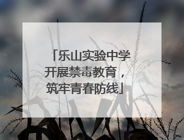 乐山实验中学开展禁毒教育，筑牢青春防线