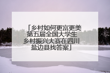 乡村如何更富更美 第五届全国大学生乡村振兴大赛在四川盐边县找答案