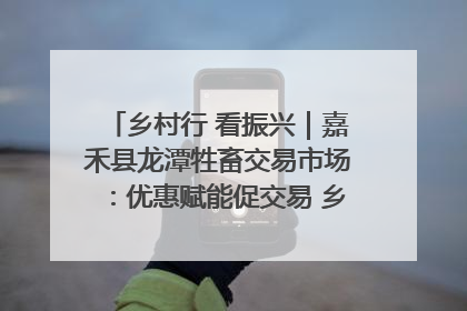 乡村行 看振兴｜嘉禾县龙潭牲畜交易市场：优惠赋能促交易 乡村振兴添动能