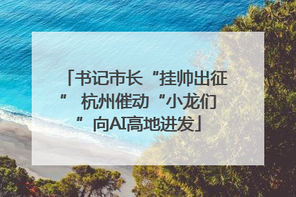 书记市长“挂帅出征” 杭州催动“小龙们”向AI高地进发