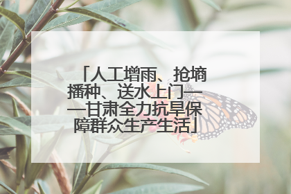人工增雨、抢墒播种、送水上门——甘肃全力抗旱保障群众生产生活