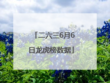 二六三6月6日龙虎榜数据