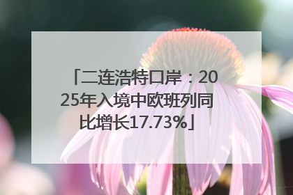 二连浩特口岸：2025年入境中欧班列同比增长17.73%