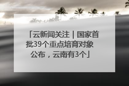 云新闻关注｜国家首批39个重点培育对象公布，云南有3个