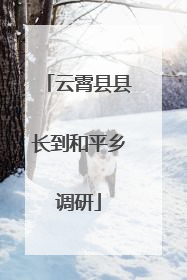 云霄县县长到和平乡调研