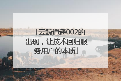 云鲸逍遥002的出现，让技术回归服务用户的本质