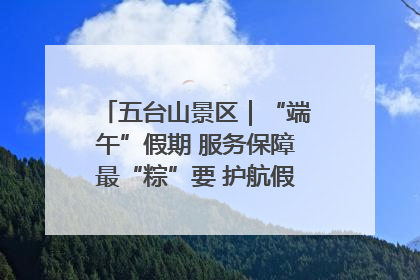五台山景区｜“端午”假期 服务保障最“粽”要 护航假期“不打烊”