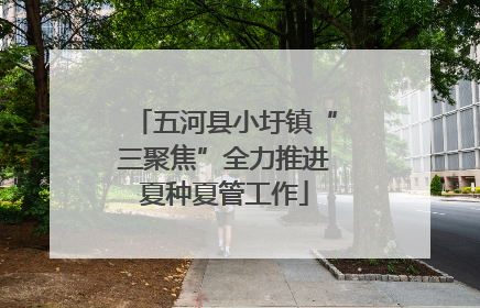 五河县小圩镇“三聚焦”全力推进夏种夏管工作