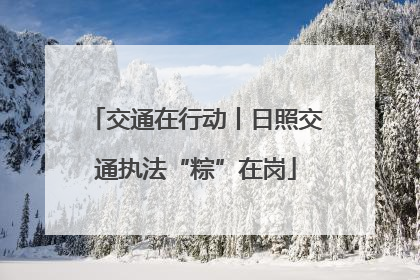 交通在行动丨日照交通执法“粽”在岗