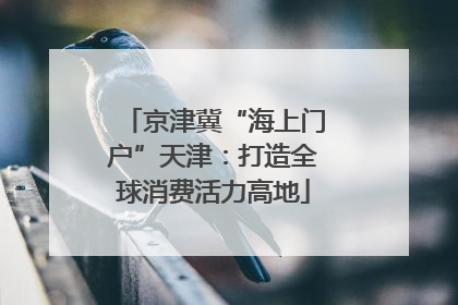 京津冀“海上门户”天津：打造全球消费活力高地