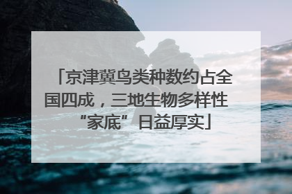 京津冀鸟类种数约占全国四成，三地生物多样性“家底”日益厚实