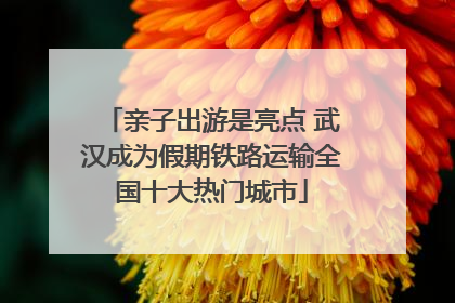 亲子出游是亮点 武汉成为假期铁路运输全国十大热门城市