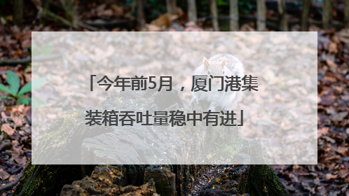 今年前5月，厦门港集装箱吞吐量稳中有进