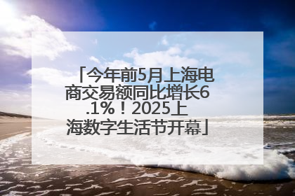今年前5月上海电商交易额同比增长6.1%！2025上海数字生活节开幕
