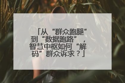从“群众跑腿”到“数据跑路”，智慧中枢如何“解码”群众诉求？