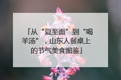 从“夏至面”到“喝羊汤”，山东人餐桌上的节气美食图鉴
