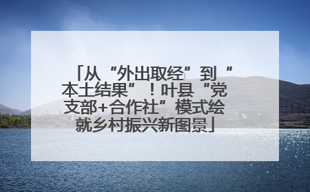 从“外出取经”到“本土结果”！叶县“党支部+合作社”模式绘就乡村振兴新图景
