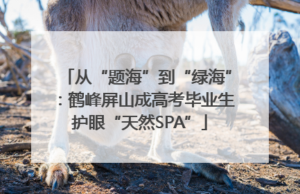 从“题海”到“绿海”：鹤峰屏山成高考毕业生护眼“天然SPA”