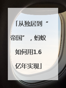 从独居到“帝国”，蚂蚁如何用1.6亿年实现