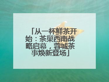 从一杯鲜茶开始：茶巢西南战略启幕，蓉城茶事焕新登场