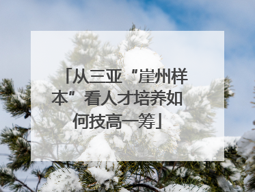 从三亚“崖州样本”看人才培养如何技高一筹