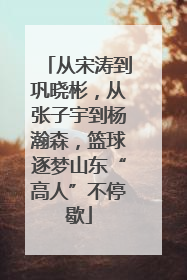 从宋涛到巩晓彬，从张子宇到杨瀚森，篮球逐梦山东“高人”不停歇