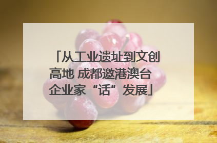 从工业遗址到文创高地 成都邀港澳台企业家“话”发展