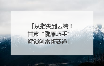从指尖到云端！甘肃“陇原巧手”解锁创富新赛道