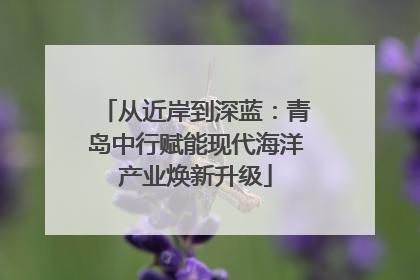 从近岸到深蓝：青岛中行赋能现代海洋产业焕新升级