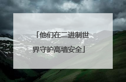 他们在二进制世界守护高墙安全