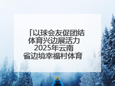 以球会友促团结 体育兴边展活力 2025年云南省边境幸福村体育嘉年华三人篮球赛圆满收官