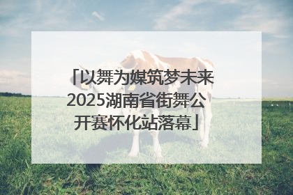 以舞为媒筑梦未来 2025湖南省街舞公开赛怀化站落幕