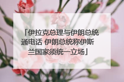 伊拉克总理与伊朗总统通电话 伊朗总统称伊斯兰国家须统一立场