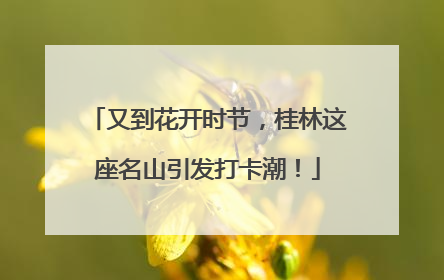 又到花开时节，桂林这座名山引发打卡潮！