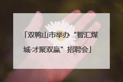 双鸭山市举办“智汇煤城·才聚双赢”招聘会