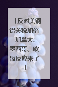 反对美钢铝关税加倍 加拿大、墨西哥、欧盟反应来了