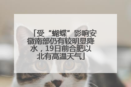受“蝴蝶”影响安徽南部仍有较明显降水，19日前合肥以北有高温天气