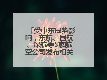 受中东局势影响，东航、国航、深航等5家航空公司发布相关航线退改政策