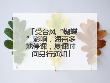 受台风“蝴蝶”影响，海南多地停课，复课时间另行通知