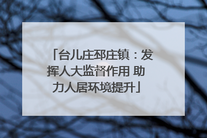 台儿庄邳庄镇：发挥人大监督作用 助力人居环境提升