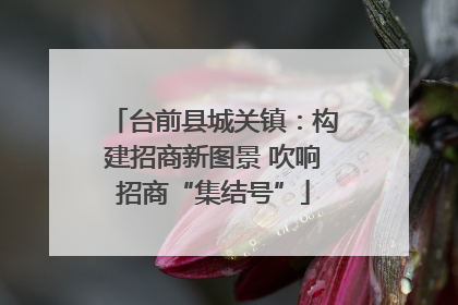 台前县城关镇：构建招商新图景 吹响招商“集结号”