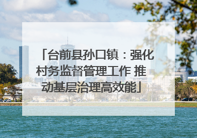 台前县孙口镇：强化村务监督管理工作 推动基层治理高效能