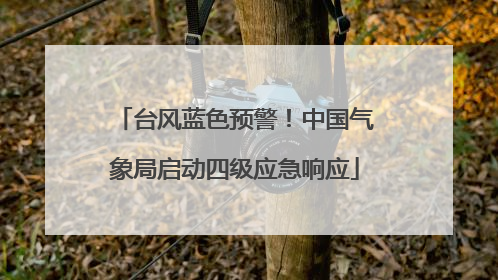 台风蓝色预警！中国气象局启动四级应急响应