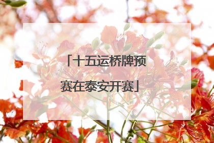 十五运桥牌预赛在泰安开赛